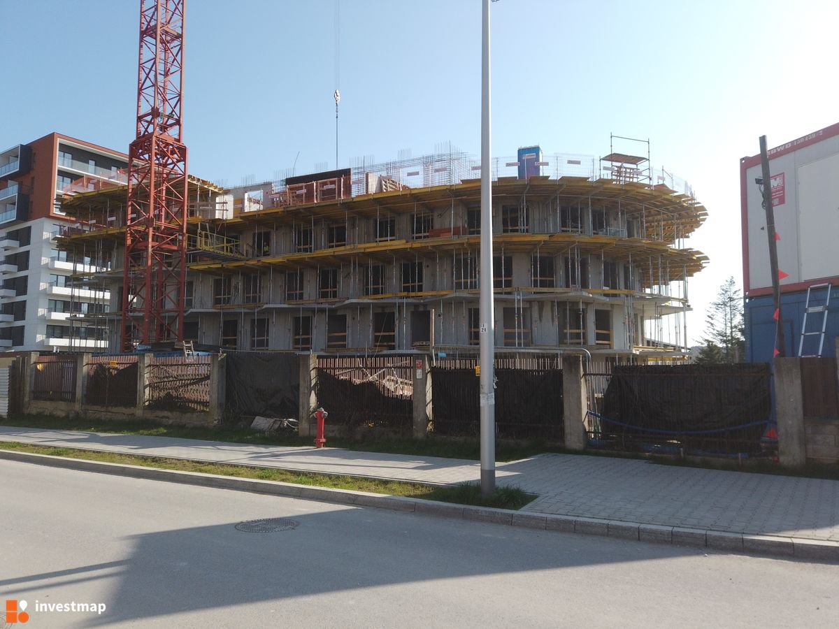 Zdjęcie Drago fot. Damian Daraż 