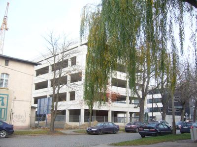 fot. Orzech