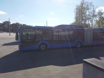 fot. Damian Daraż