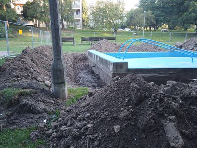 fot. Damian Daraż