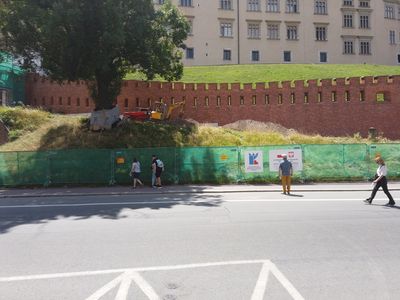 fot. Damian Daraż