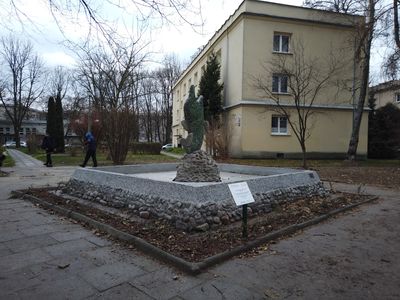 fot. Damian Daraż