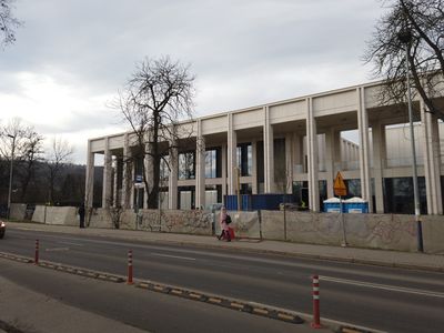 fot. Damian Daraż