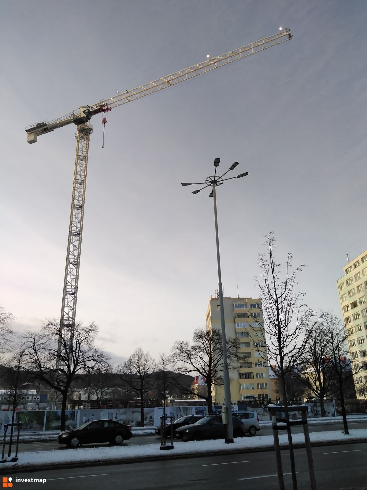 Zdjęcie Olivia Nord fot. Wojciech Jenda