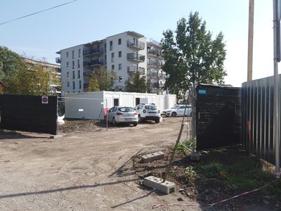 fot. Damian Daraż