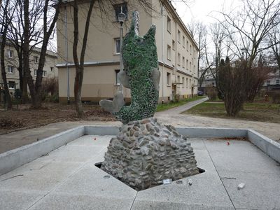 fot. Damian Daraż