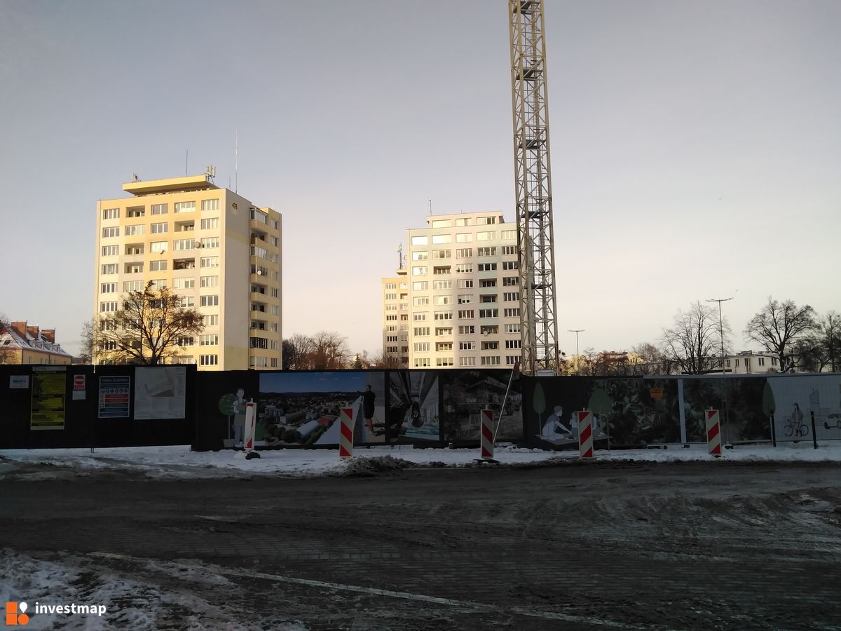 Zdjęcie Olivia Nord fot. Wojciech Jenda