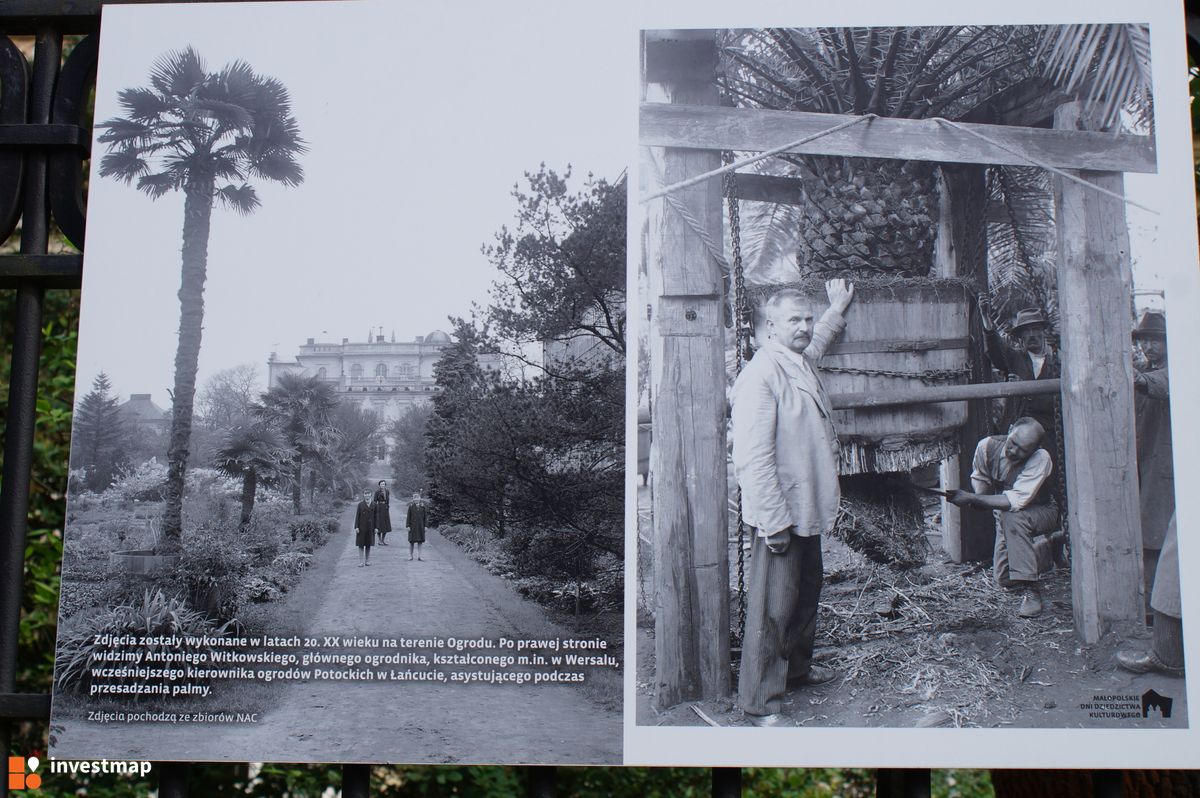 Zdjęcie Ogród Botaniczny fot. Damian Daraż 