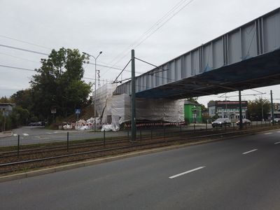 fot. Damian Daraż