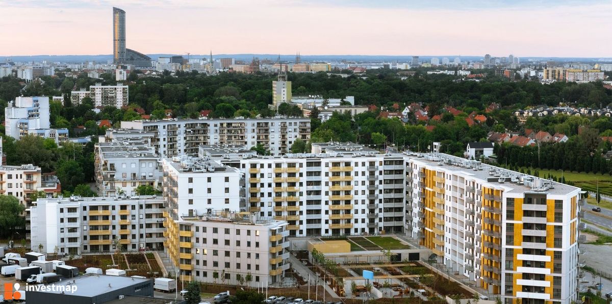 Zdjęcie Południk 17 fot. Orzech 