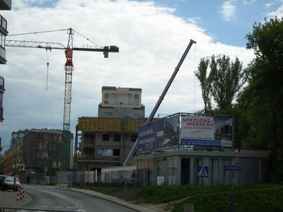 fot. Pajakus