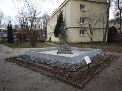 fot. Damian Daraż
