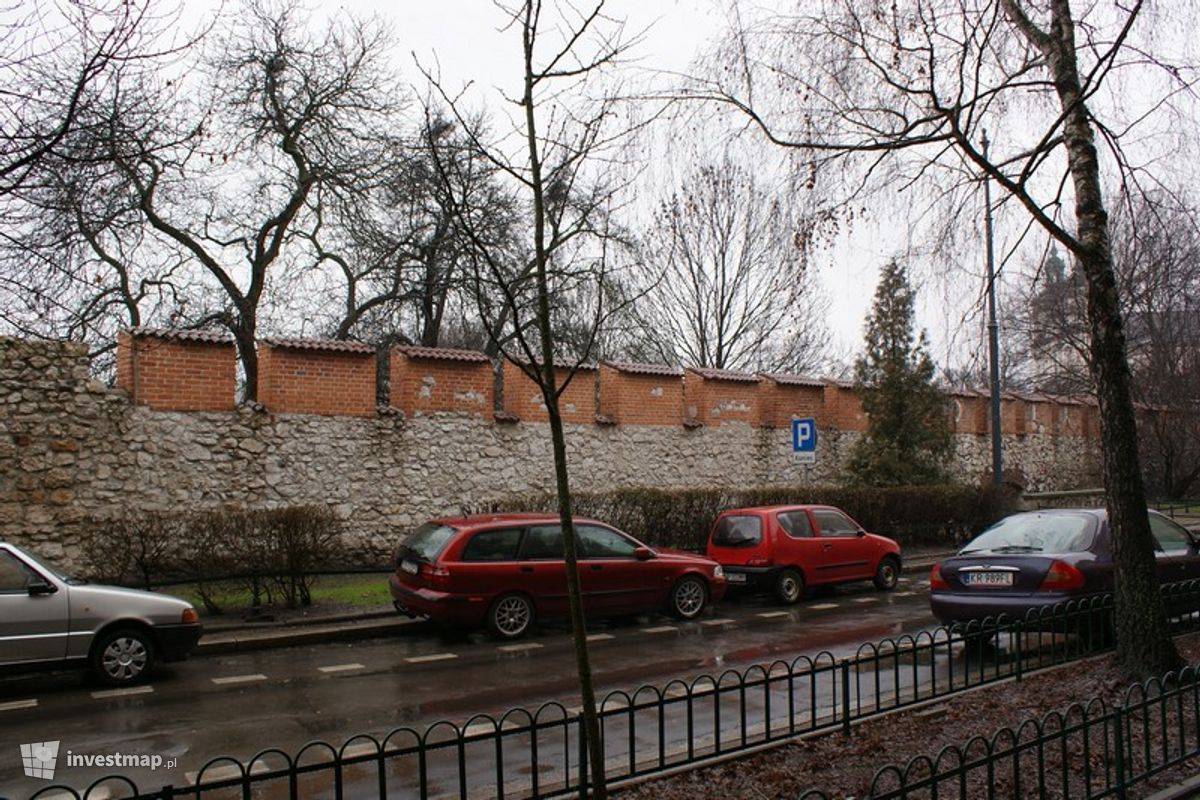 Zdjęcie [Kraków] Remont, Konserwacja Muru, ul. Paulińska  fot. Damian Daraż 