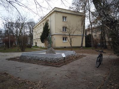 fot. Damian Daraż