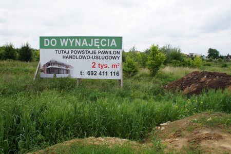 fot. Damian Daraż