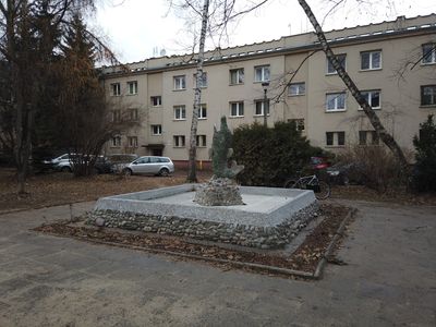 fot. Damian Daraż