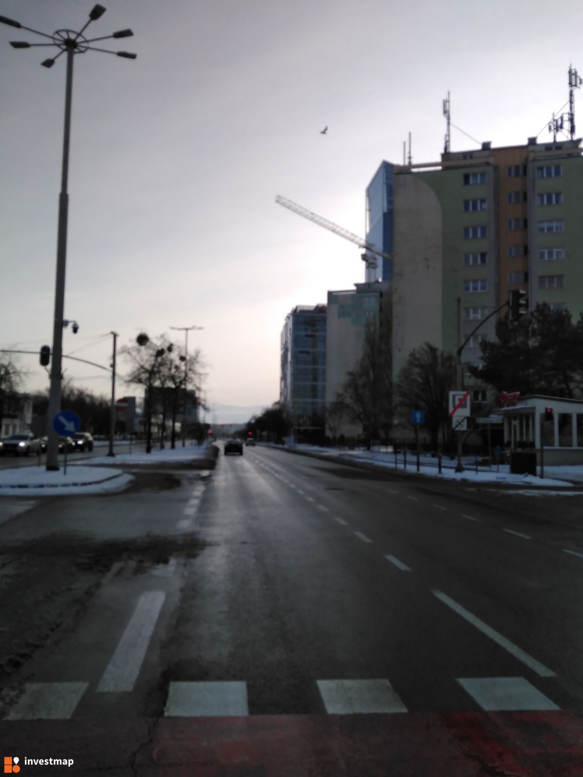Zdjęcie Olivia Nord fot. Wojciech Jenda