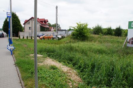 fot. Damian Daraż