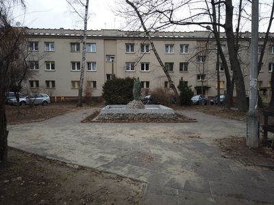 fot. Damian Daraż