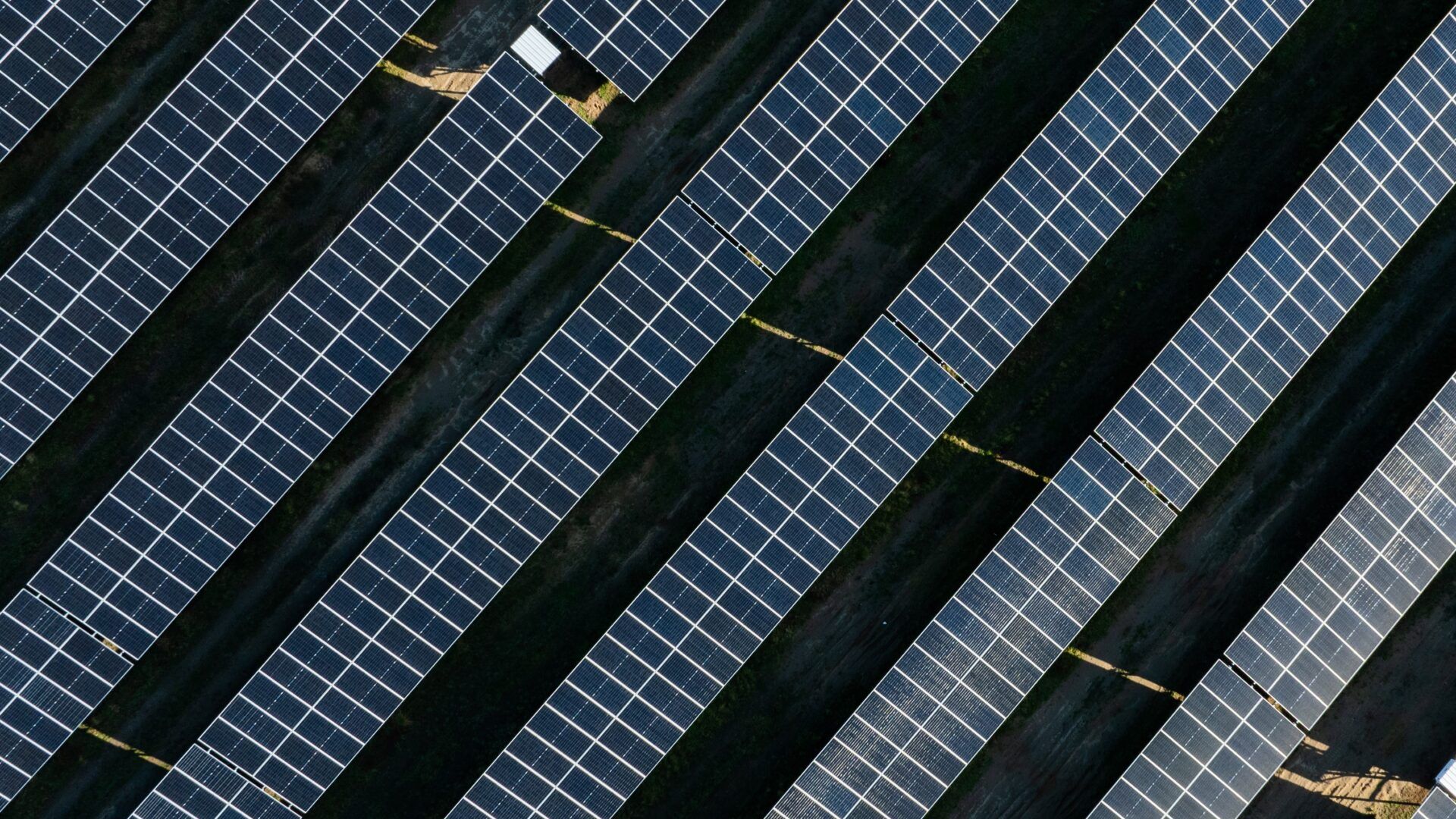 Polenergia ruszyła z budową nowej, dużej farmy fotowoltaicznej 