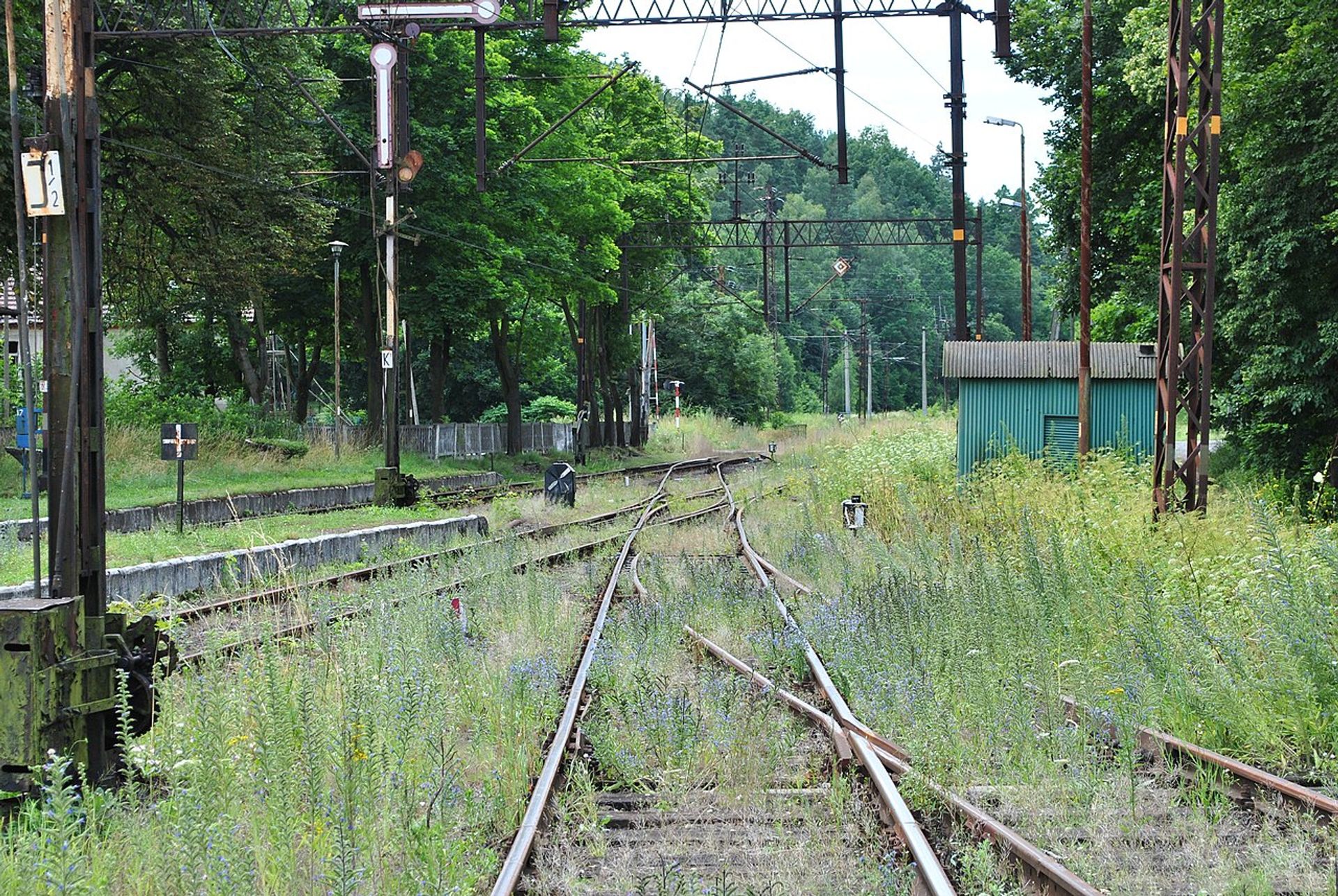 Wybrano wykonawcę rewitalizacji linii kolejowej nr 284 z Legnicy przez Złotoryję do Jerzmanic Zdroju