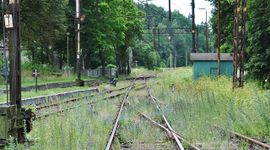 Wybrano wykonawcę rewitalizacji linii kolejowej nr 284 z Legnicy przez Złotoryję do Jerzmanic Zdroju
