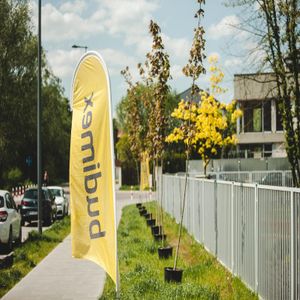 Budimex zazieleni trasę tramwaju do Wilanowa w Warszawie