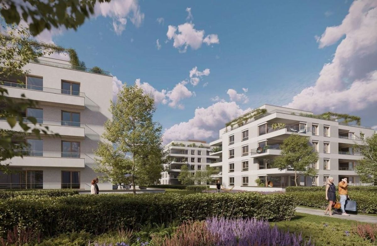 Materiały inwestora