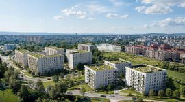 Czy młode osoby w Polsce decydują się na zakup mieszkań?