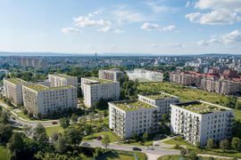 Czy młode osoby w Polsce decydują się na zakup mieszkań?