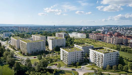 Czy młode osoby w Polsce decydują się na zakup mieszkań?