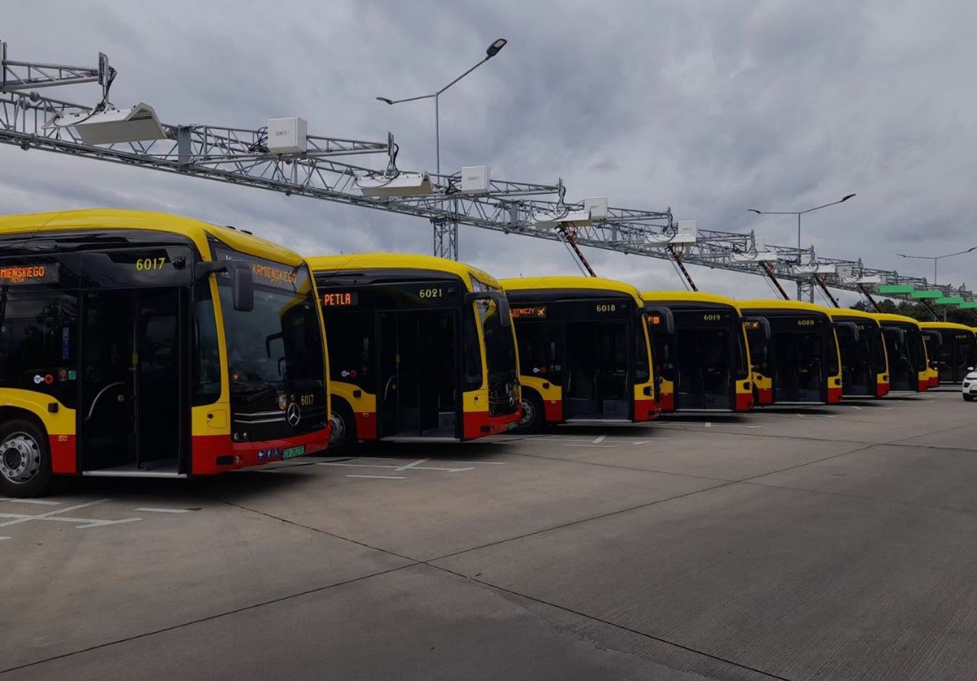 MPK Wrocław powiększa flotę autobusów elektrycznych do 41 pojazdów