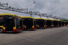 MPK Wrocław powiększa flotę autobusów elektrycznych do 41 pojazdów