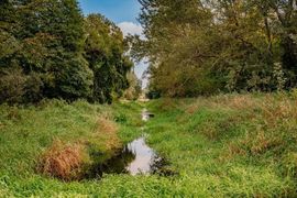 Co się stanie z doliną Sokołówki? Jest projekt planu. Również na sąsiadujące z nią osiedla