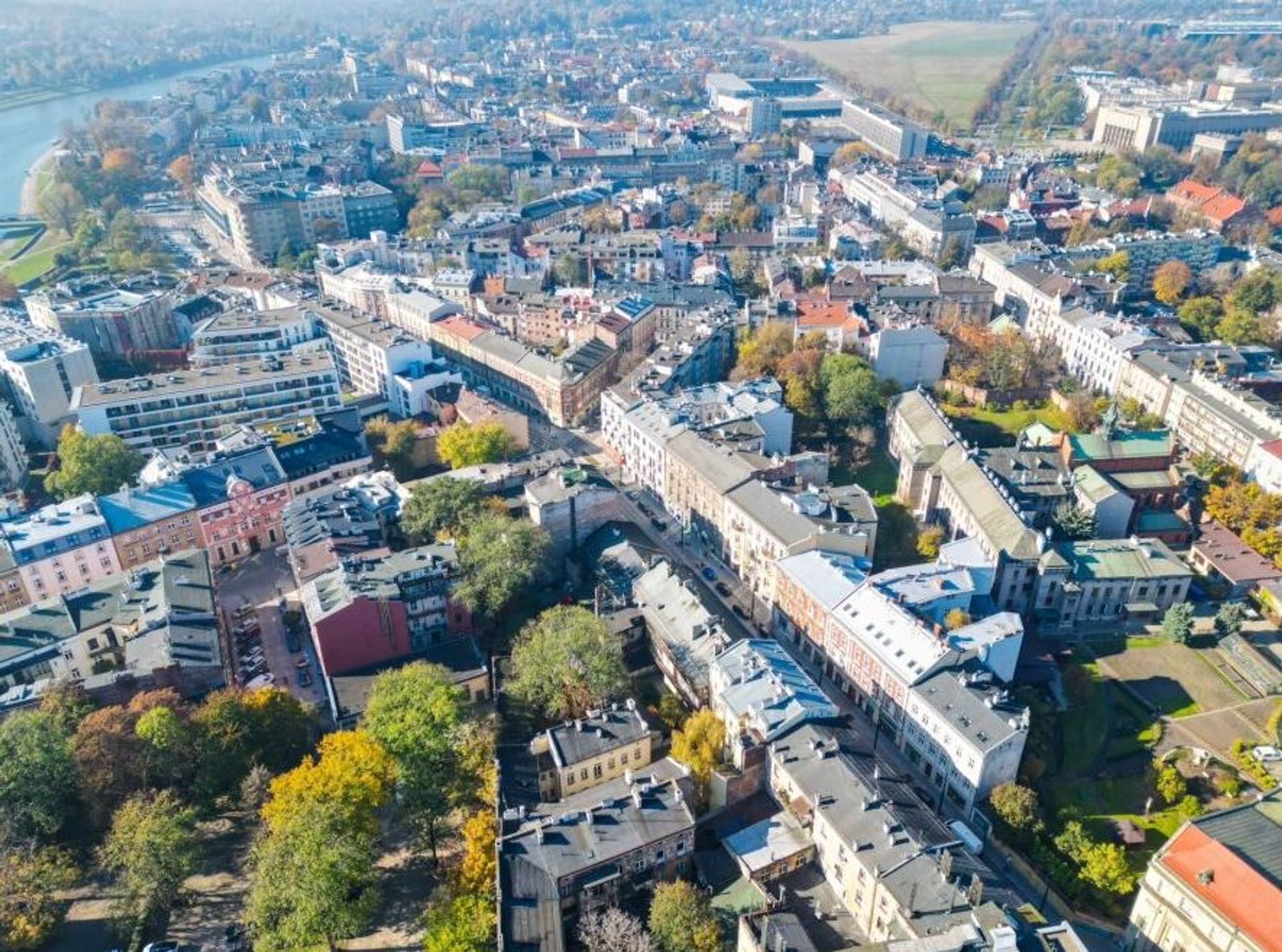 Kraków: Ruszają nasadzenia drzew na ul. Zwierzynieckiej i ul. Kościuszki