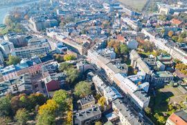 Kraków: Ruszają nasadzenia drzew na ul. Zwierzynieckiej i ul. Kościuszki