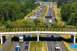 Zielone światło dla poszerzenia autostrady A2 Łódź – Warszawa