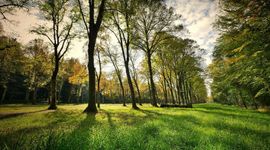 Tysiące drzew, nowe tereny i parki. Zieleń zmienia Kraków! 