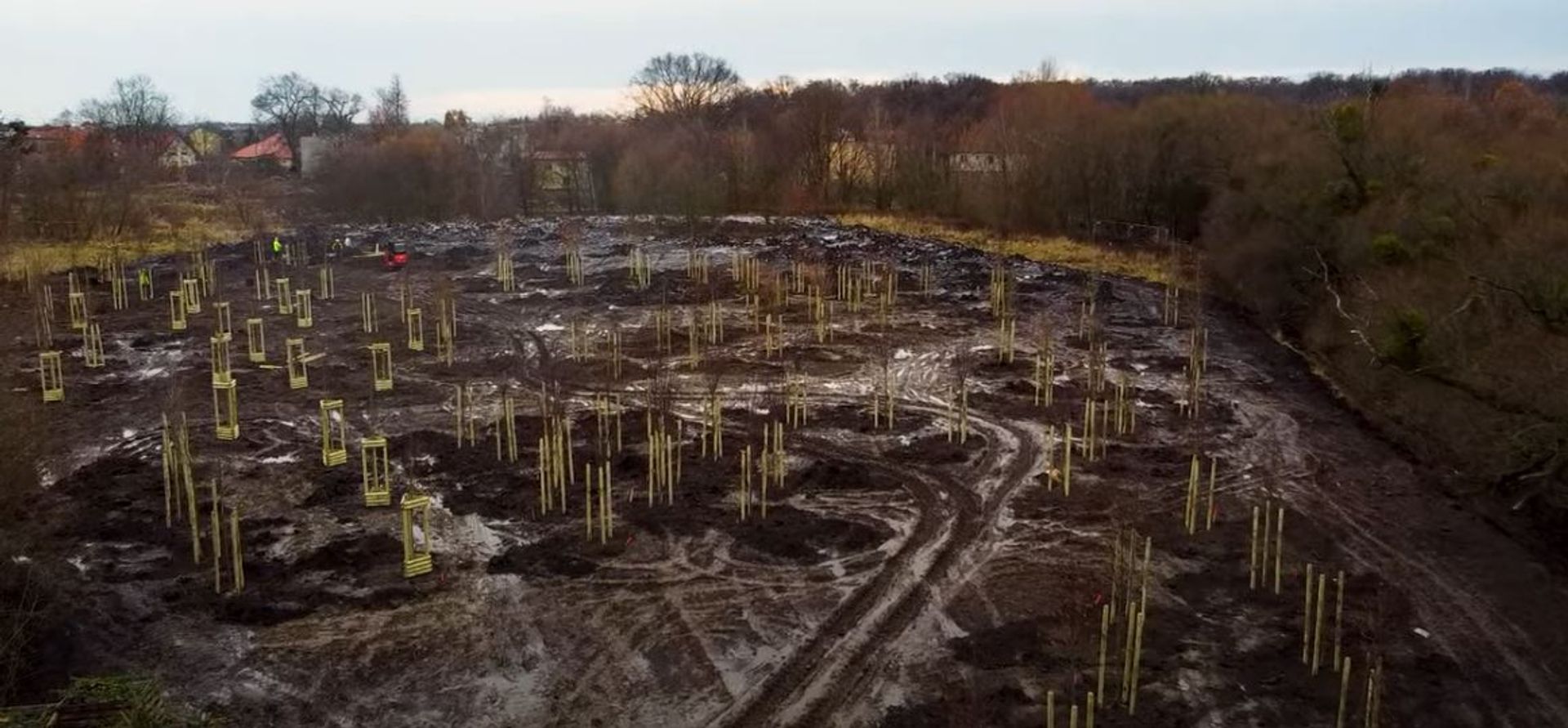 W zachodniej części Wrocławia pojawiło się kilkaset nowych drzew i tysiące krzewów 
