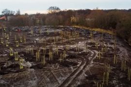 W zachodniej części Wrocławia pojawiło się kilkaset nowych drzew i tysiące krzewów [FILM]