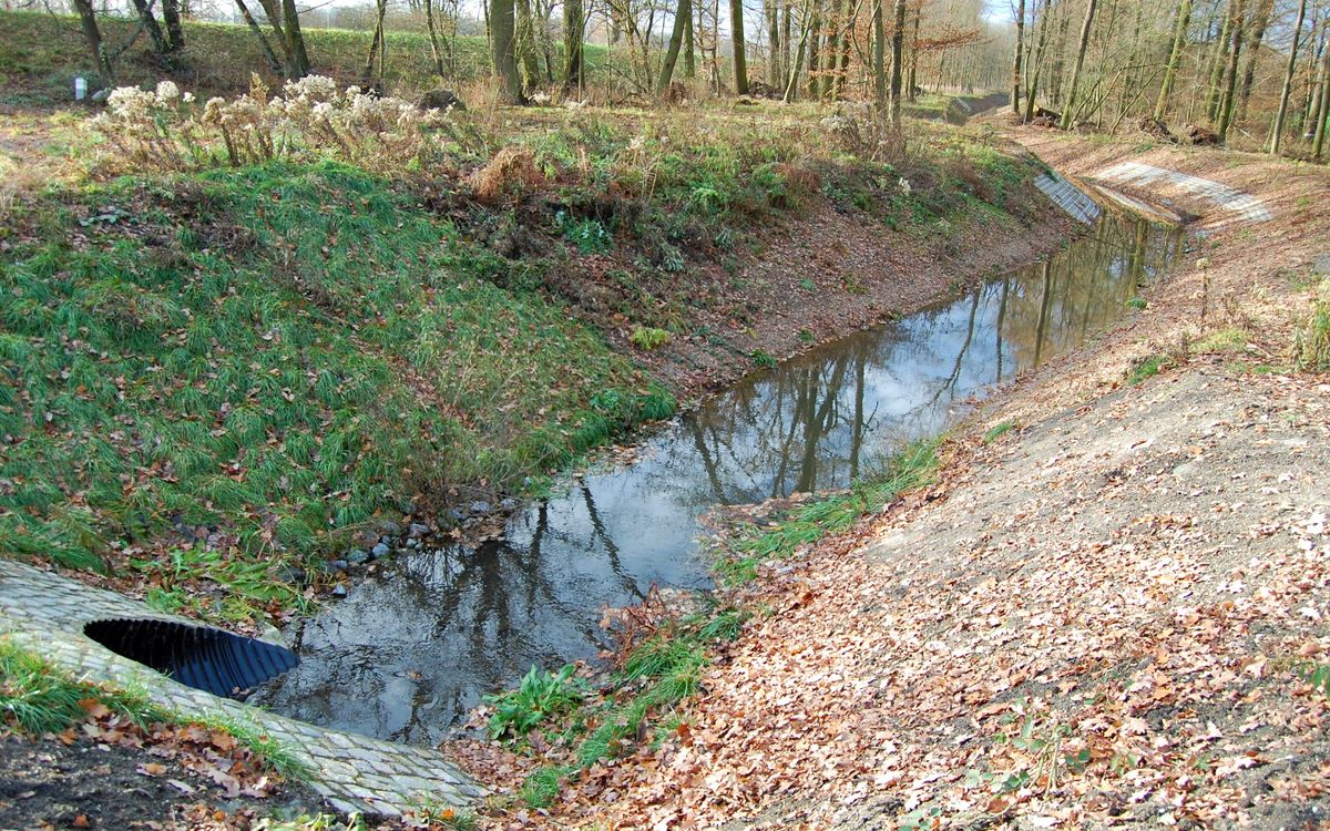 Wody Polskie, / Rowy nawadniające lasy zlokalizowane są w bezpośrednim sąsiedztwie Odry