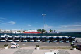 Na ulice Gdyni wyjechało 11 nowych autobusów elektrycznych