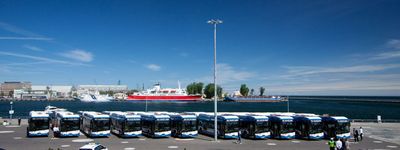 Na ulice Gdyni wyjechało 11 nowych autobusów elektrycznych