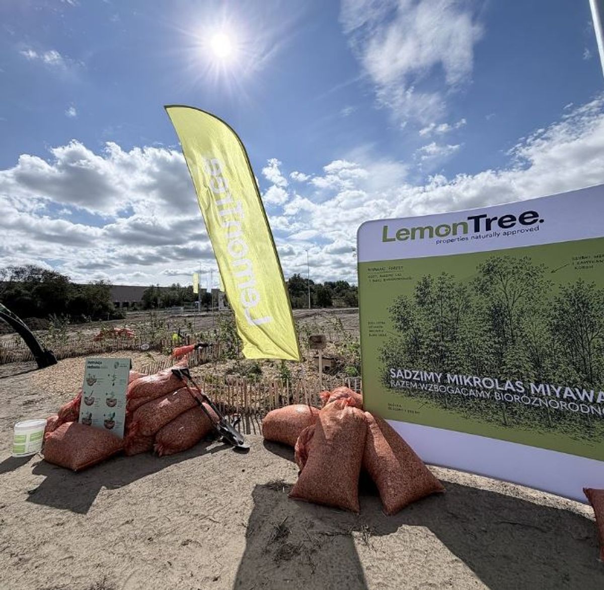 Fot. LemonTree