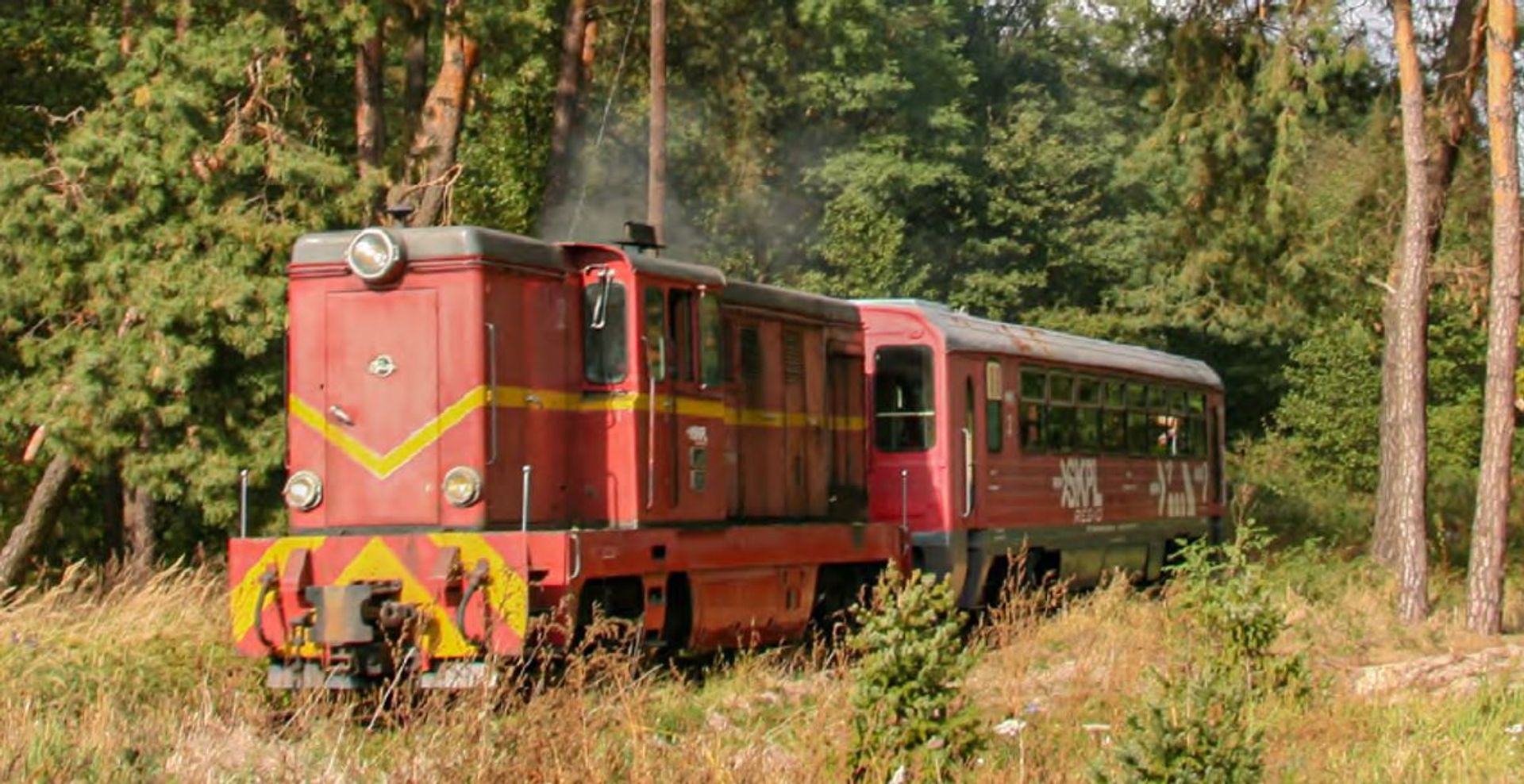 Koleje „małe”, ale ważne - rządowe wsparcie dla wąskotorówek