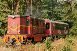 Koleje „małe”, ale ważne - rządowe wsparcie dla wąskotorówek