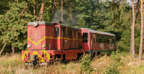 Koleje „małe”, ale ważne - rządowe wsparcie dla wąskotorówek