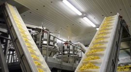 Znany polski producent frytek i przetworów ziemniaczanych inwestuje w Małopolsce [FILM]