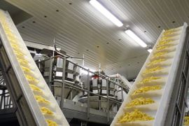 Znany polski producent frytek i przetworów ziemniaczanych inwestuje w Małopolsce [FILM]