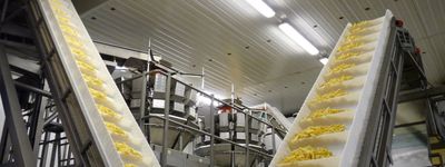 Znany polski producent frytek i przetworów ziemniaczanych inwestuje w Małopolsce [FILM]